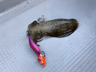 デイテップラン