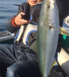 知り合いの船でブリ、メジロ、ハマチ狙い