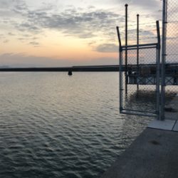 リベンジ 木材港ヒイカ釣り(夕方)