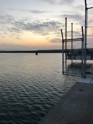 リベンジ 木材港ヒイカ釣り(夕方)