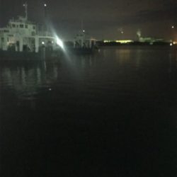 ボチボチのヒイカ釣りσ(^_^;)