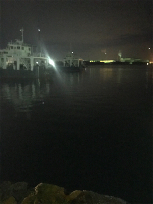 ボチボチのヒイカ釣りσ(^_^;)