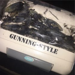 連日ヒイカゲーム☆GUNNING-STYLE