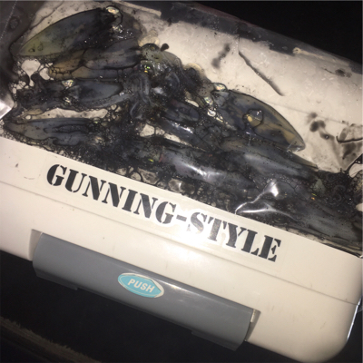 連日ヒイカゲーム☆GUNNING-STYL…