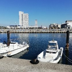 ボウズ回避からの・・・