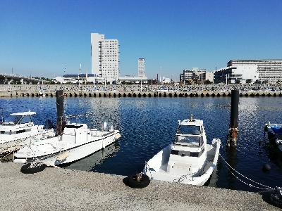 ボウズ回避からの・・・