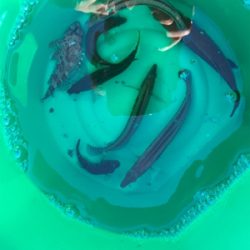 久々の投げ釣りでしたが❗️