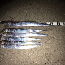 息子がドラゴン獲ったどー(^^)