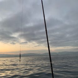 2年ぶりのオフショア