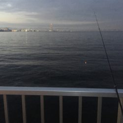 貝塚人工島タチウオ渋い