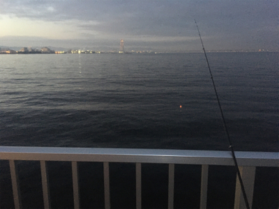 貝塚人工島タチウオ渋い