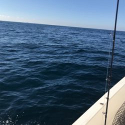 中深海と鯛ラバ