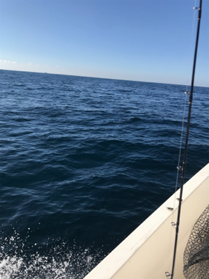 中深海と鯛ラバ