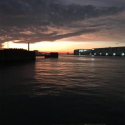 ☆ 大阪南港フェリーターミナル釣果☆