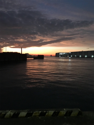 ☆ 大阪南港フェリーターミナル釣果☆