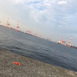 今シーズン終了間近?@8防