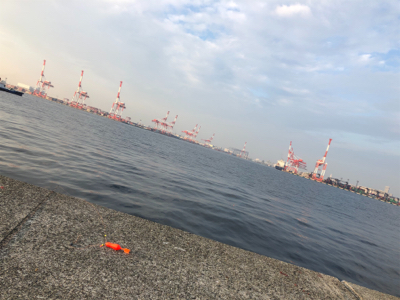 今シーズン終了間近?@8防