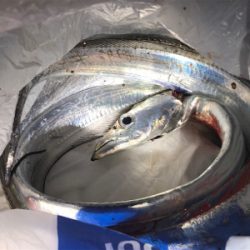 マズメチャレンジ