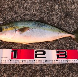 朝夕のダブルヘッダー(^.^)