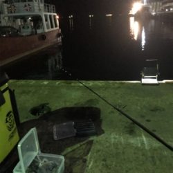 今日もヒイカ釣り(^.^)