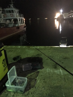 今日もヒイカ釣り(^.^)