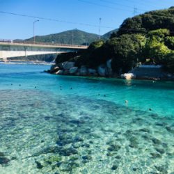 寒いが釣果は熱い