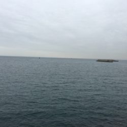 正体はこいつなのか