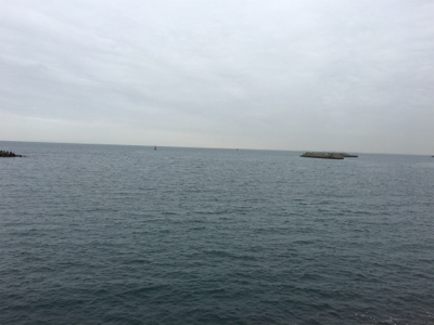 正体はこいつなのか