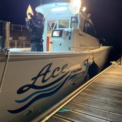 ACEさんにてティップラン