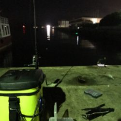 ライトエギング時々アジング(^.^)