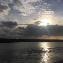 タチウオでかめ