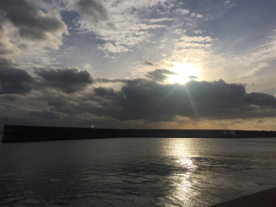 タチウオでかめ