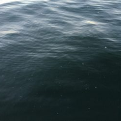 久々にフラッシュJで♪