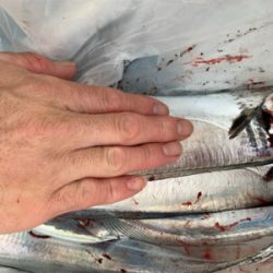 朝まづめ出勤前の朝練