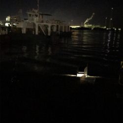 エギのローテでヒイカ釣り(^.^)