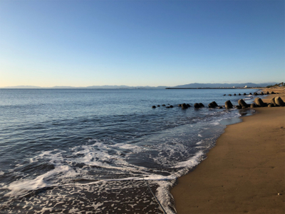 まだ釣れたハマチ
