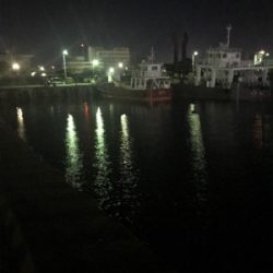 寒い中でのヒイカ釣りσ(^_^;)