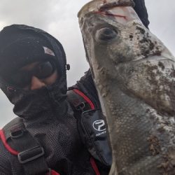 シーバス初ゲット!