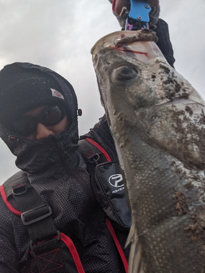 シーバス初ゲット!