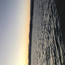 久しぶりのドラゴン