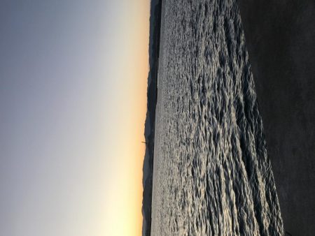 久しぶりのドラゴン