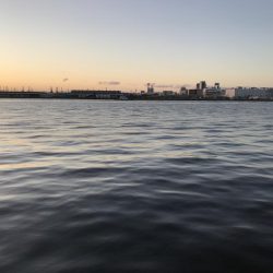 アタリが遠い。