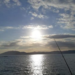 イカの気持ち６