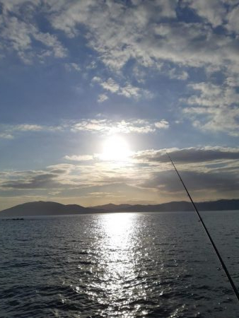 イカの気持ち６