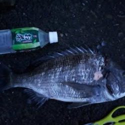 兎に角寒い!でも大漁でした!!疲れた~、でも^^b