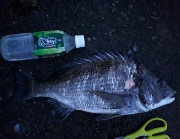 兎に角寒い!でも大漁でした!!疲れた~、でも^^b