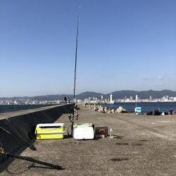 今年の青物も終わり？