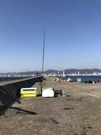 今年の青物も終わり？