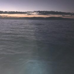 14時間滞在釣行