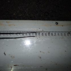 ドラゴンハントが効く！